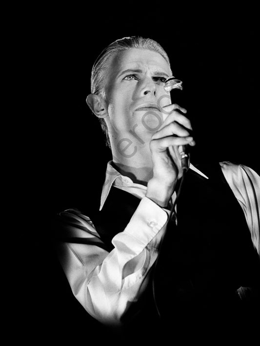 David Bowie